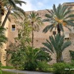 Elche visite accessible