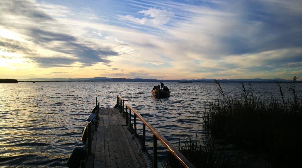 Balade en bateau Albufera