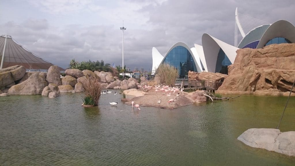 Oceanografic aquarium Valencia
