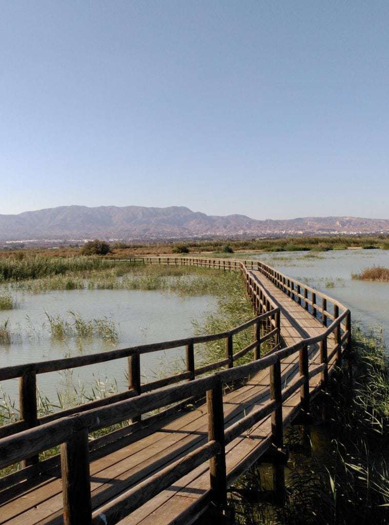 el hondo elche accessibilité